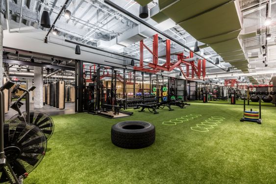 Agility turf, high-quality gym equipment and ample lighting for this fitness fit out